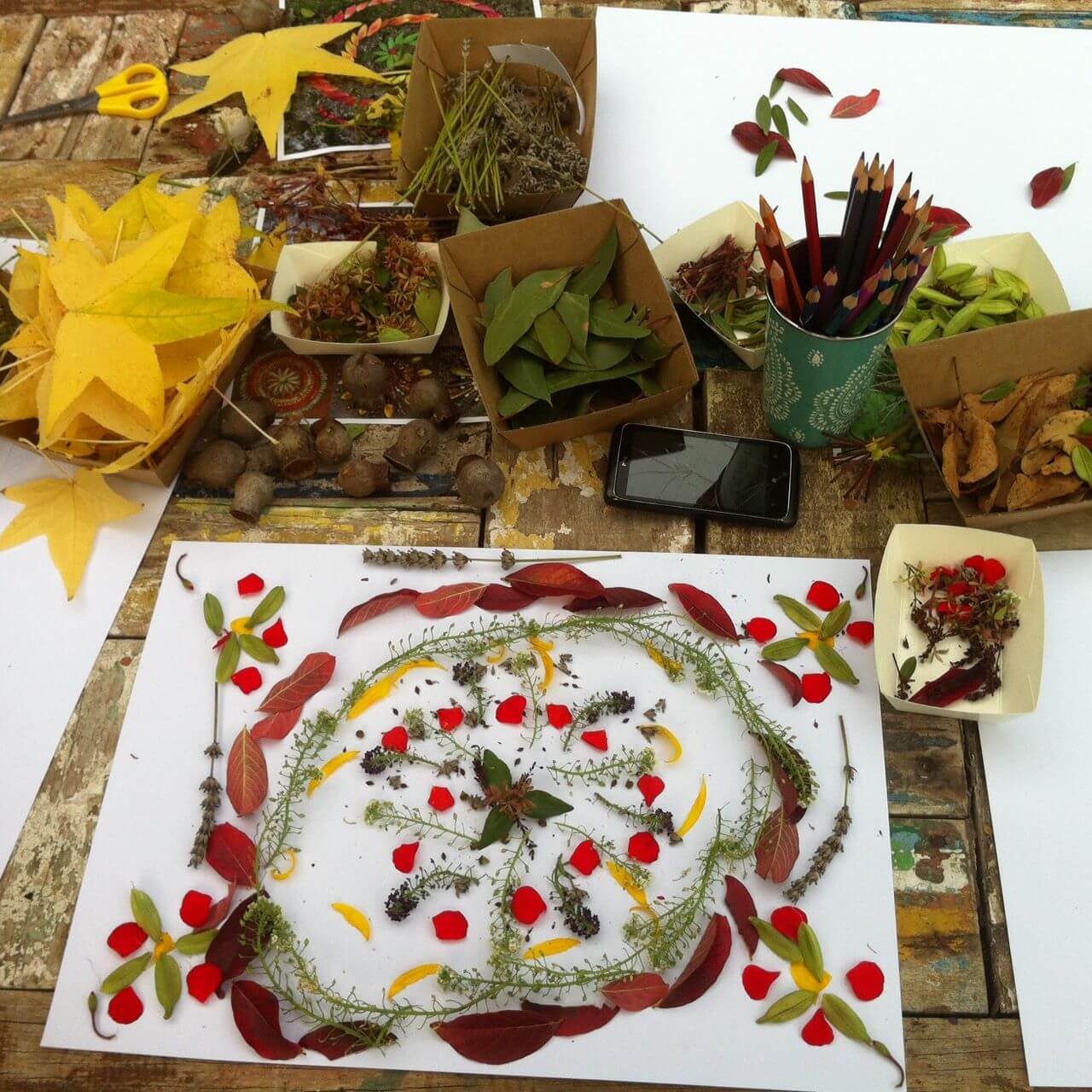 School Holiday Workshop - Nature Collections and Mandalas