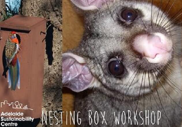 Nesting Box Workshop_Website