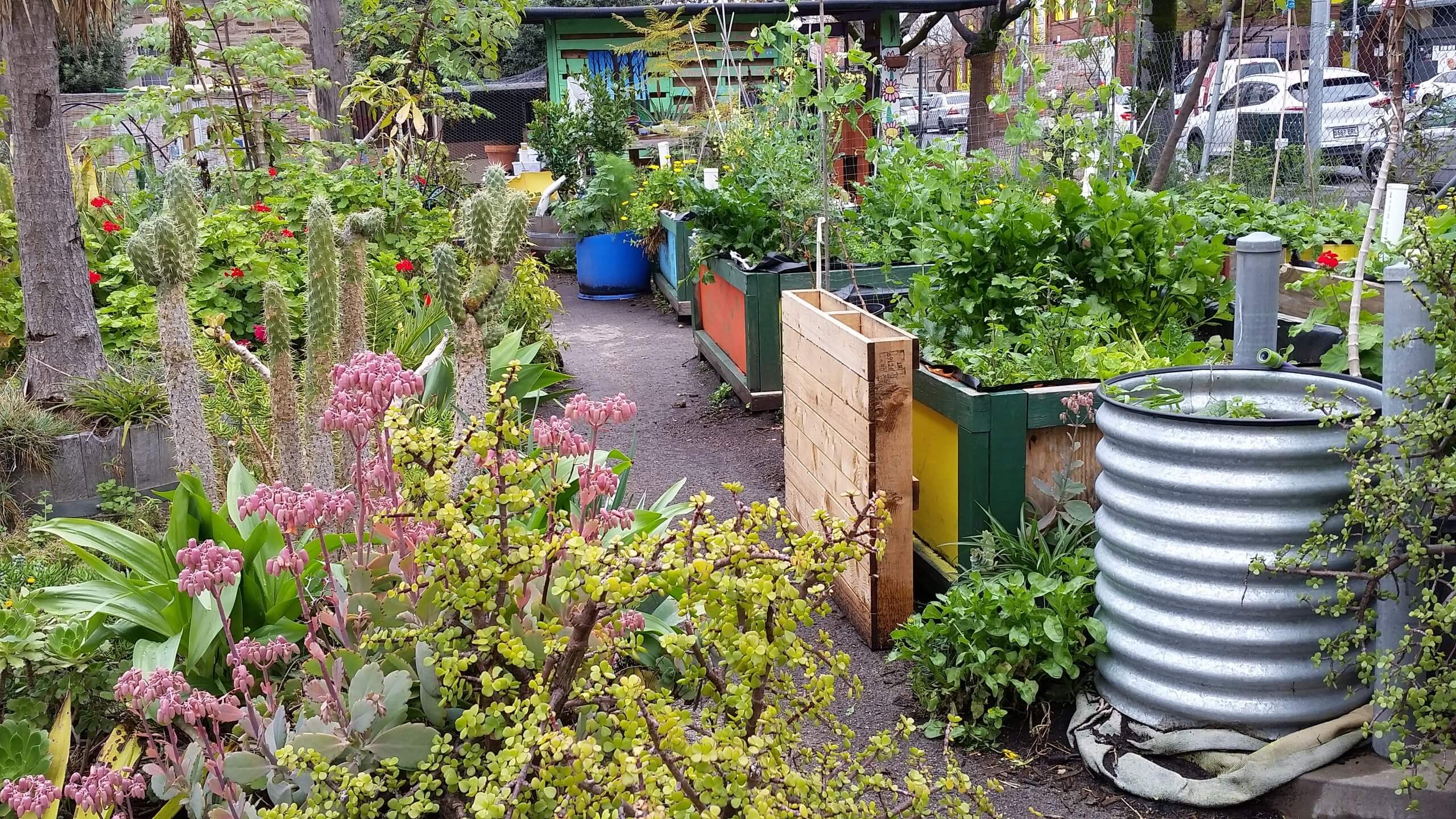 The Ground Community Garden_Wicking Beds Image Adelaide Sustainability Centre